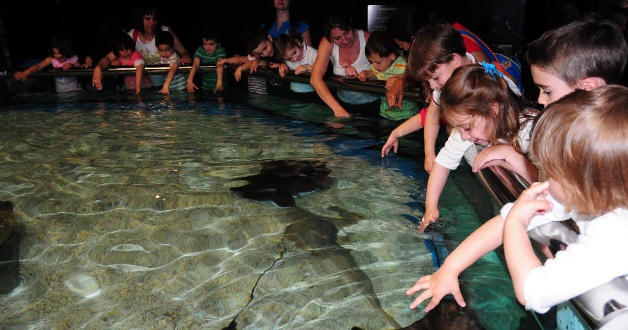 Aquarium Costa de Almería