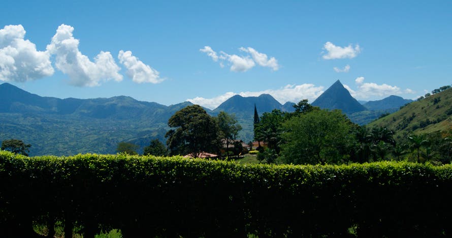 Ruta del Café VIP por el suroeste antioqueño desde Medellín