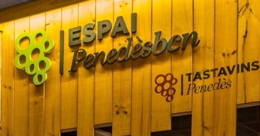 Cata de vinos y espumosos a ciegas con antifaz y quesos artesanos