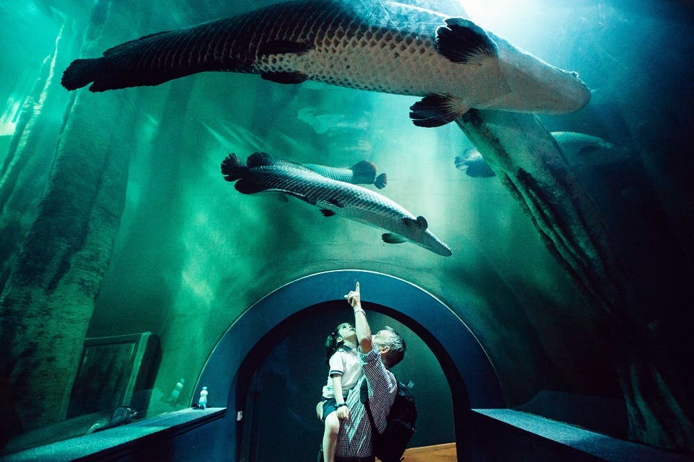 Acuario de Zaragoza
