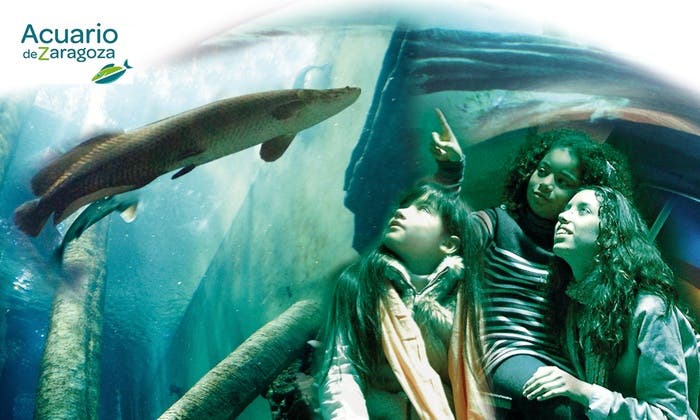 Acuario de Zaragoza