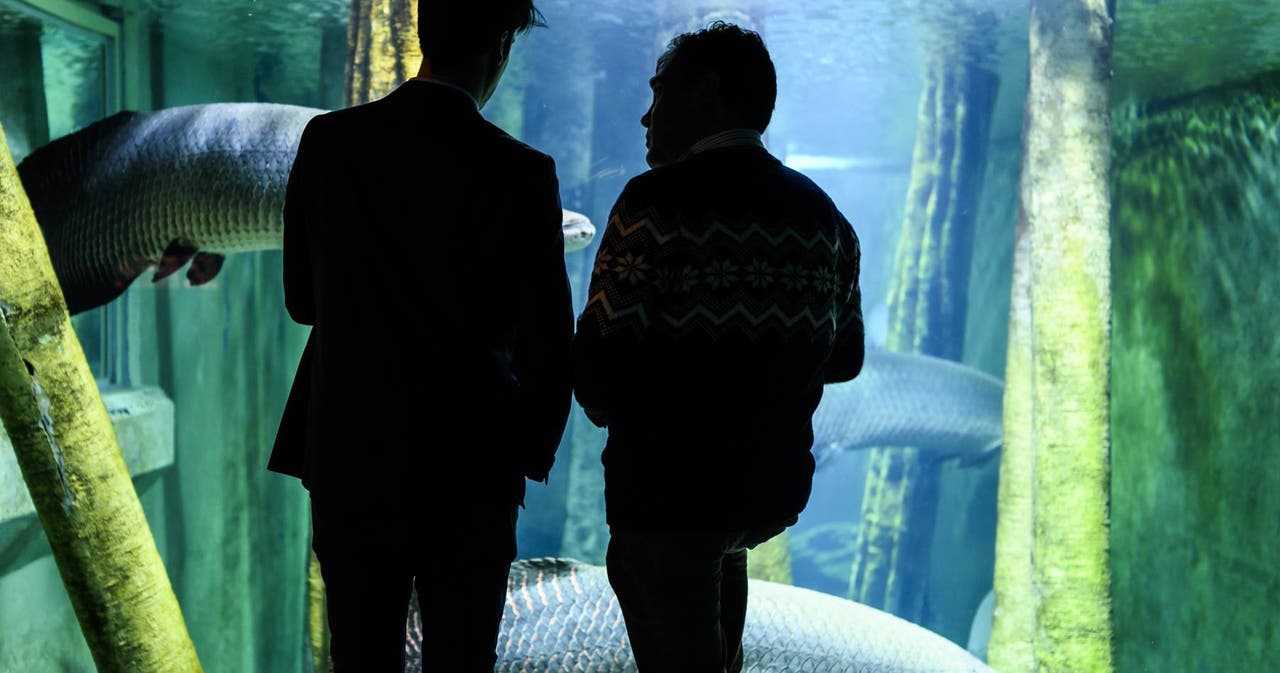 Acuario de Zaragoza