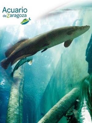 Acuario de Zaragoza