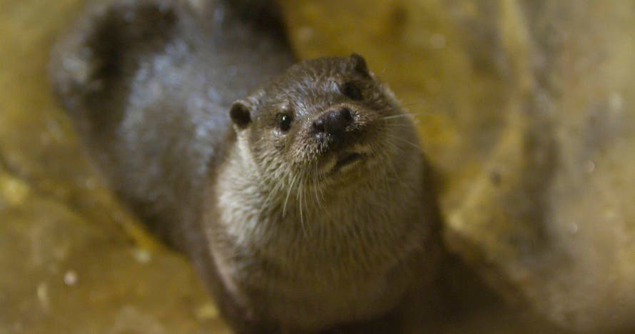 Acuario de Zaragoza