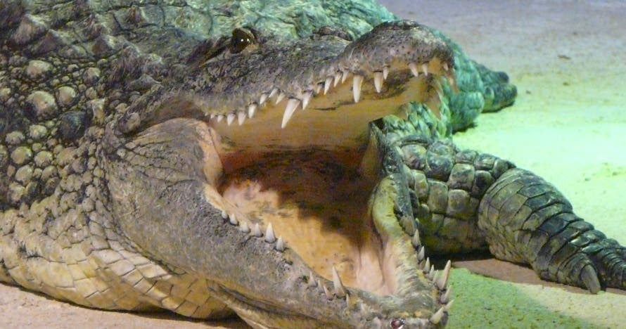 Acuario de Zaragoza