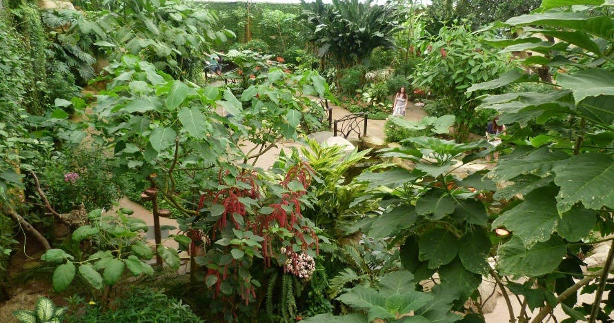 Mariposario de Benalmádena - Butterfly Park