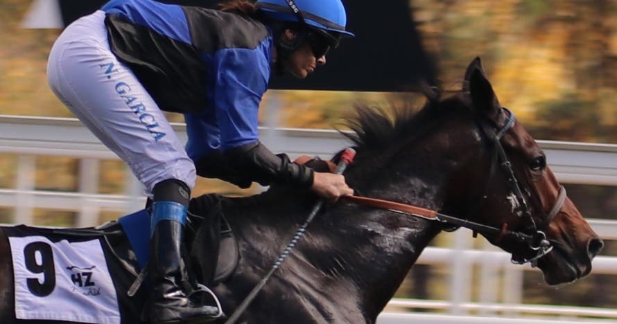Hipotour: visita guiada y carreras en el Hipódromo de la Zarzuela
