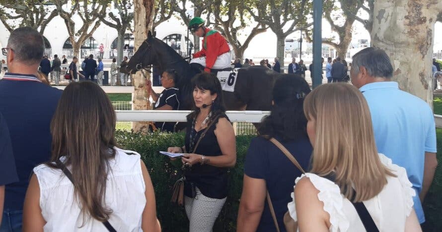Hipotour: visita guiada y carreras en el Hipódromo de la Zarzuela