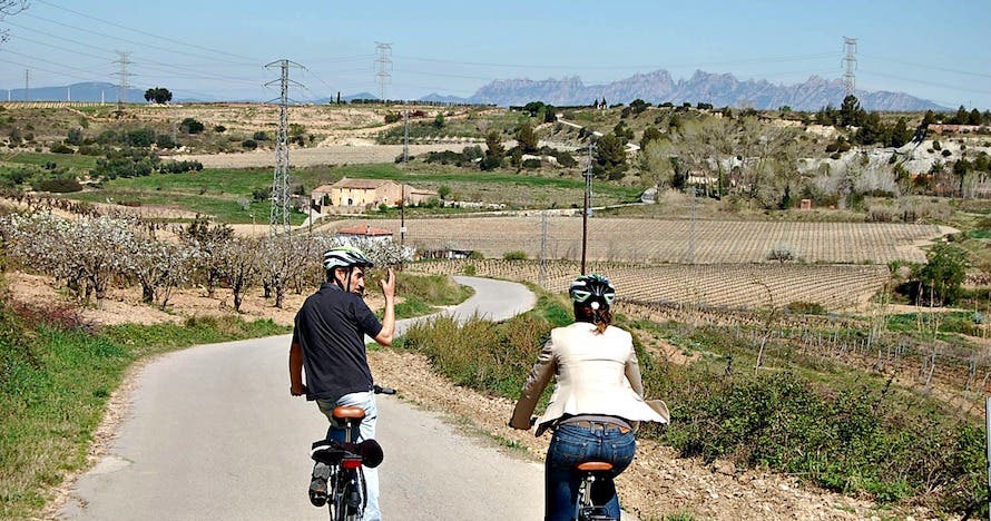 Paseo en bici, visita a pie de viña y cata con pica pica 