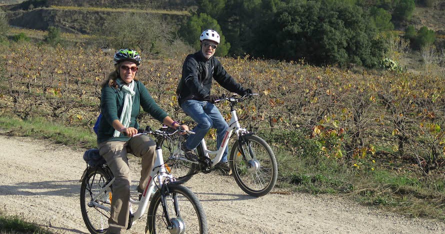 Paseo en bici, visita a pie de viña y cata con pica pica 