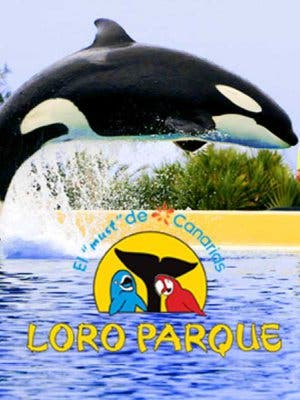 Loro Parque_6