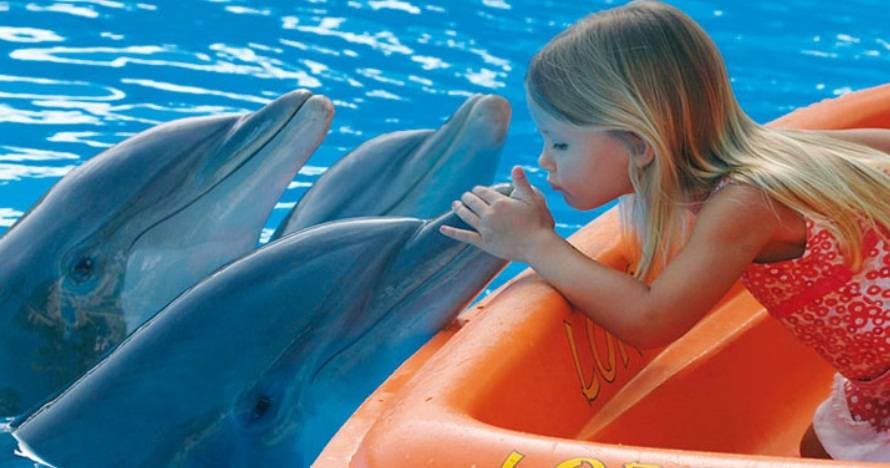 Twin Siam Park + Loro Parque