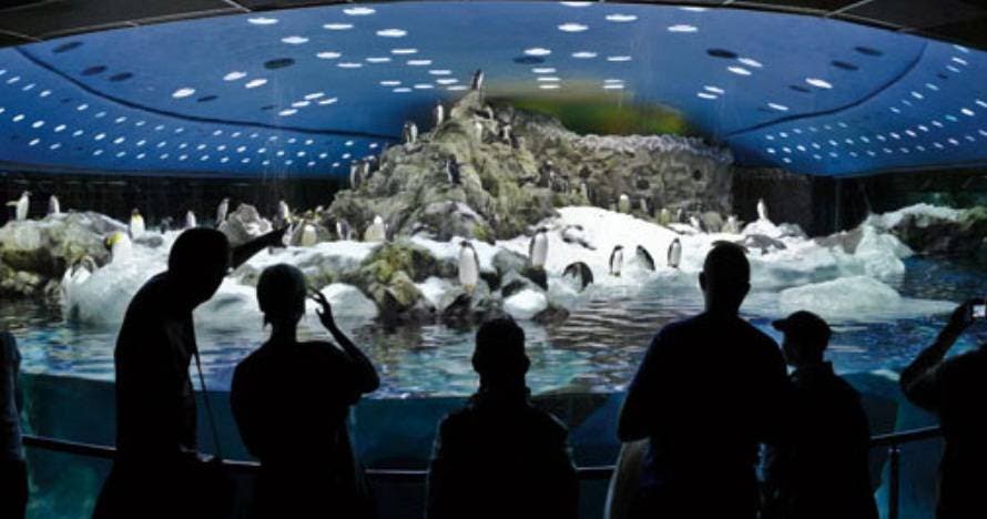 Twin Siam Park + Loro Parque
