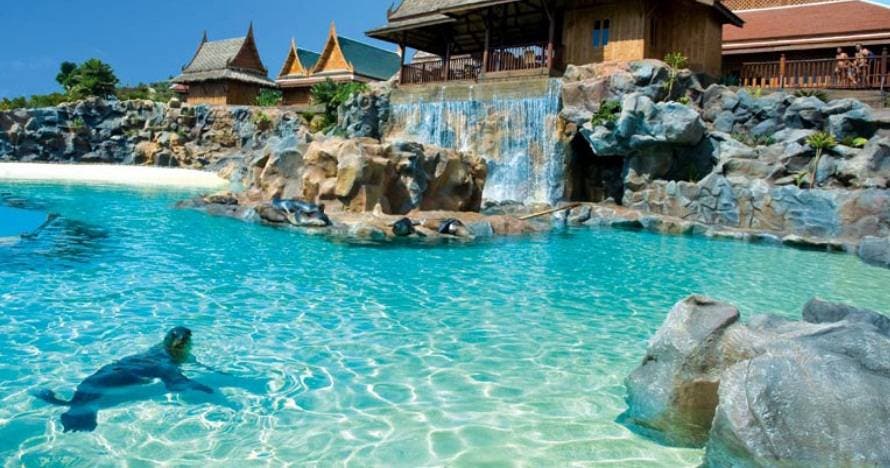 Twin Siam Park + Loro Parque
