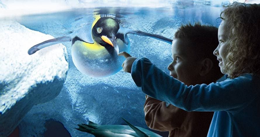Twin Siam Park + Loro Parque