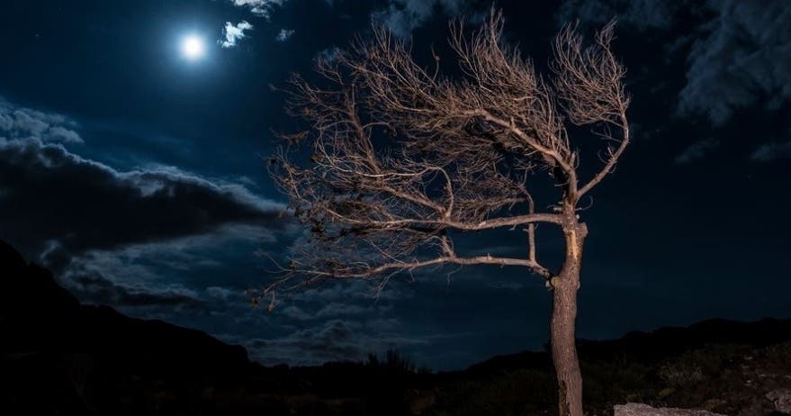 Taller de fotografía nocturna con cualquier cámara o smartphone