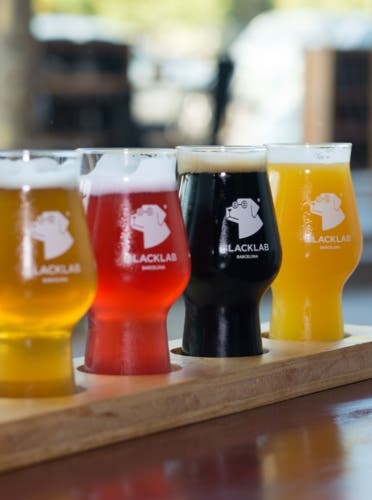 Cata y guía de cervezas by Matt, el brewer de Minnesota en BlackLab