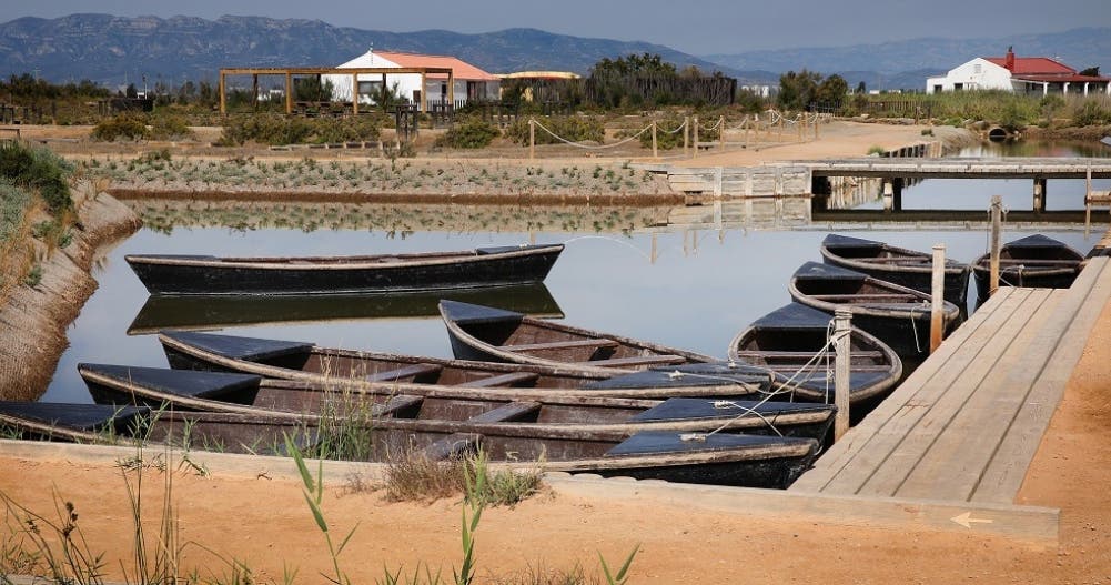 Aventura en la naturaleza para todos en MónNatura Delta