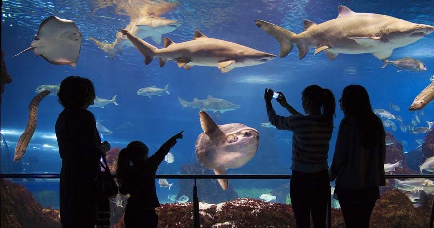 L'Aquàrium de Barcelona