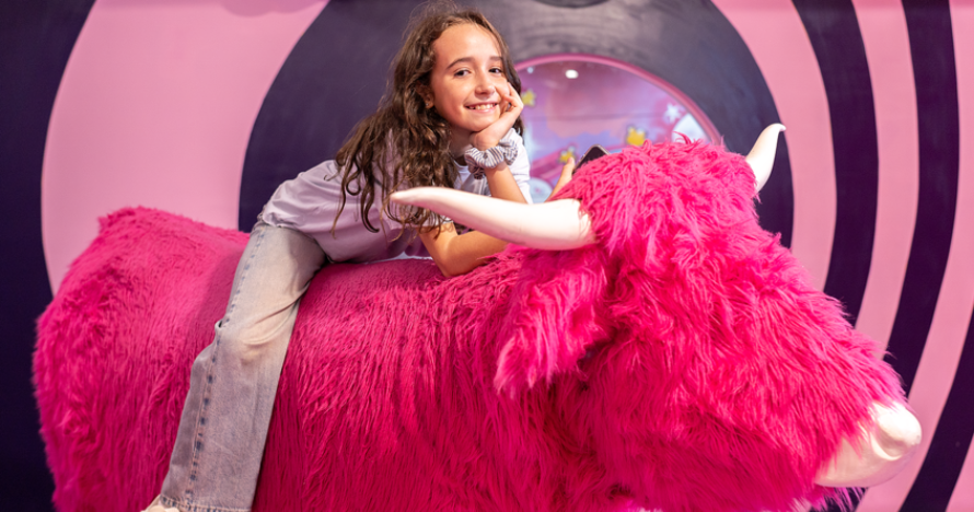 Big Fun Museum: 8 museos temáticos y Museo de las Ilusiones opcional