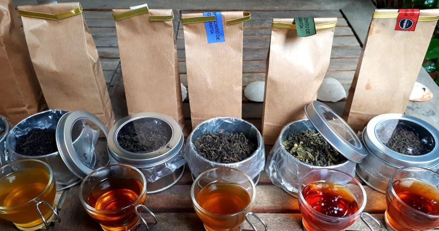 Sumérgete en el apasionante mundo del té en esta cata
