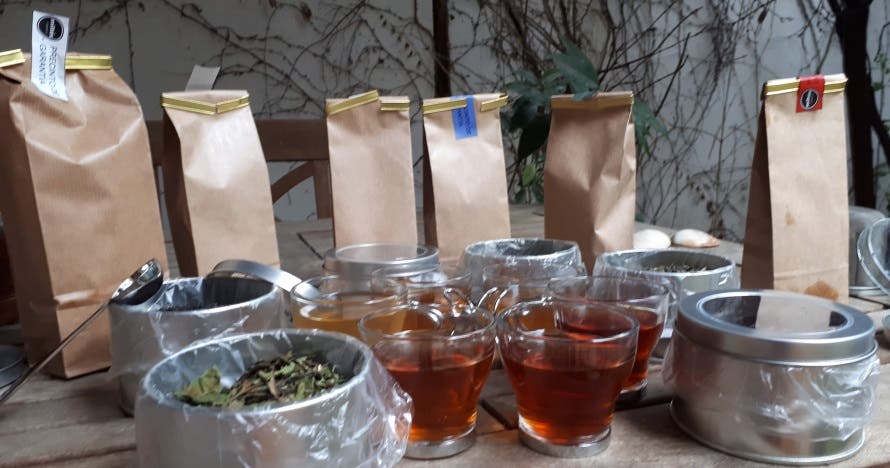 Sumérgete en el apasionante mundo del té en esta cata