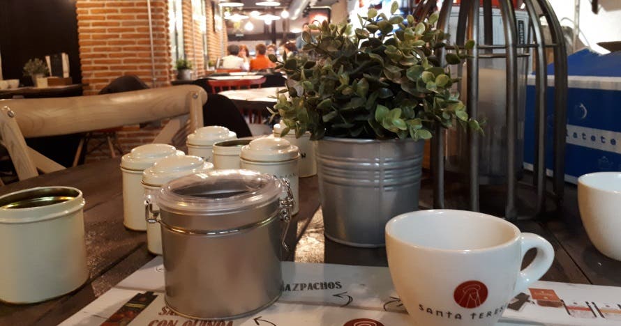 Sumérgete en el apasionante mundo del té en esta cata