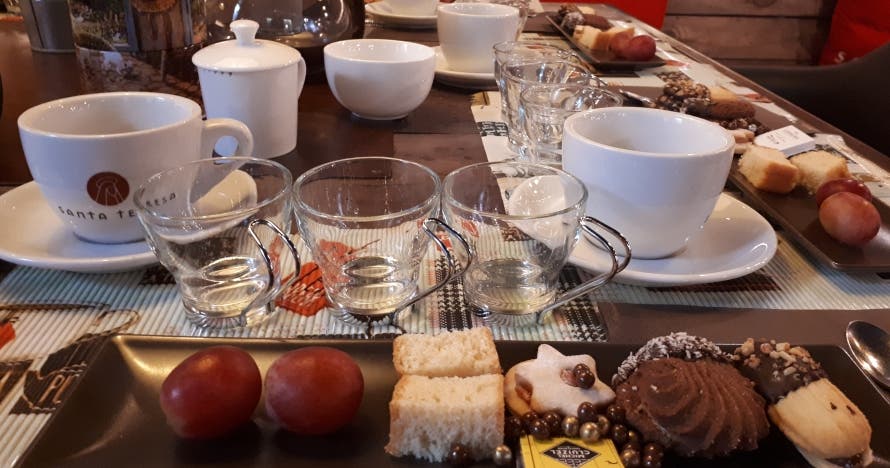 Sumérgete en el apasionante mundo del té en esta cata