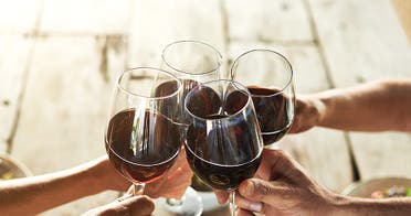 Tour Cajn del Maipo , Embalse Del Yeso_2