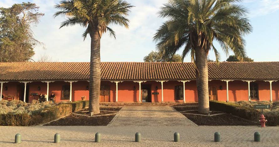 Tour Viña Santa Rita Am o Pm + traslados