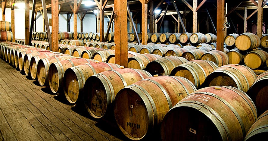 Tour Viña Santa Rita Am o Pm + traslados