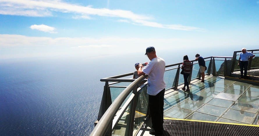 Naturaleza, vino y aventura en Madeira: ¡Reserva tu experiencia ahora!