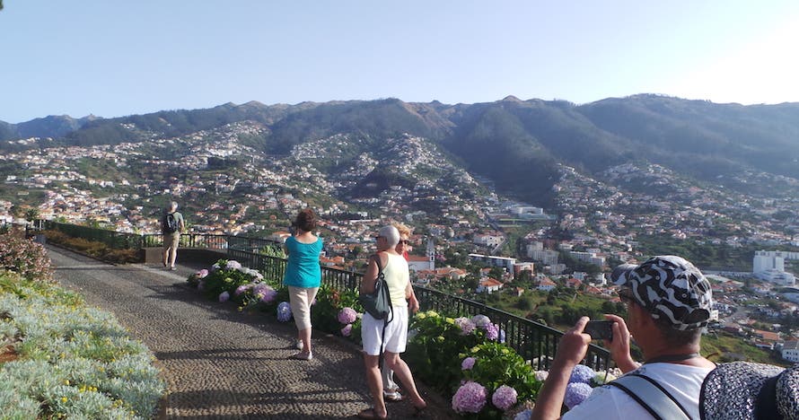 Naturaleza, vino y aventura en Madeira: ¡Reserva tu experiencia ahora!