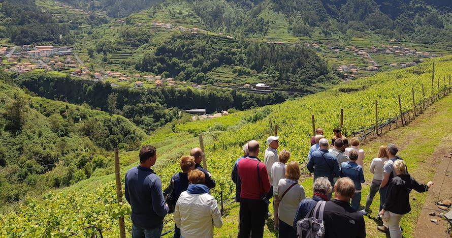 Naturaleza, vino y aventura en Madeira: ¡Reserva tu experiencia ahora!