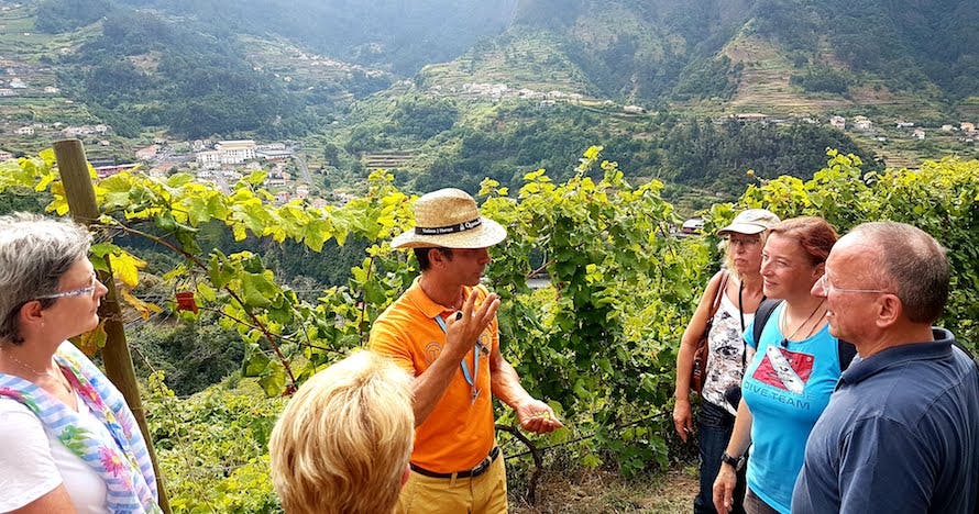 Naturaleza, vino y aventura en Madeira: ¡Reserva tu experiencia ahora!