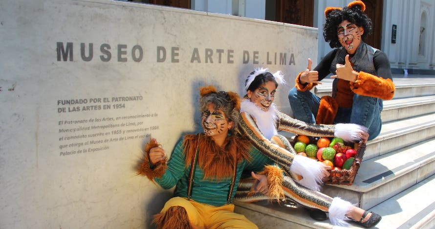 Gato de Mercado