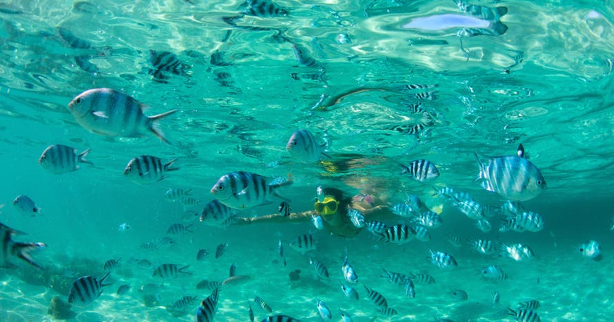 Johnny Cay, acuario, bahía y manglares en San Andrés