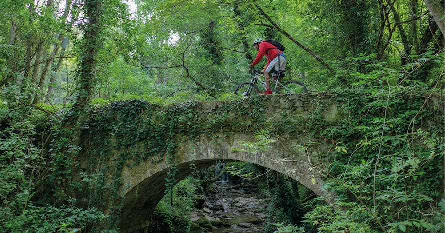 Ruta con bicicleta eléctrica en Parque Natural del Montseny + pícnic