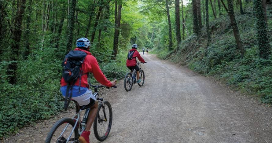 Ruta con bicicleta eléctrica en Parque Natural del Montseny + pícnic