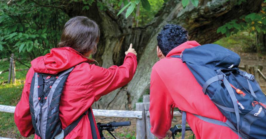 Ruta con bicicleta eléctrica en Parque Natural del Montseny + pícnic