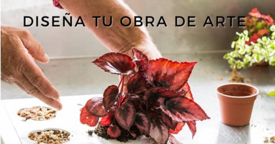 Crea tu propio jardín vertical en Greenworks Madrid