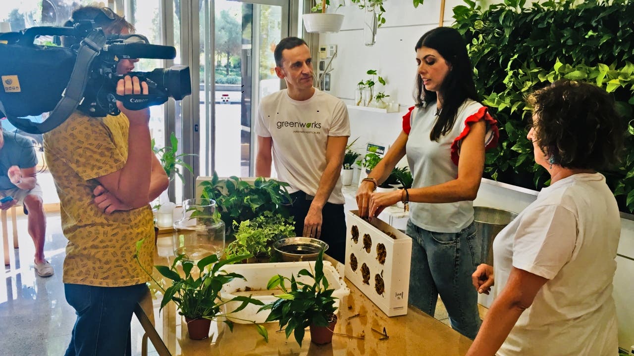 Crea tu propio jardín vertical en Greenworks Madrid