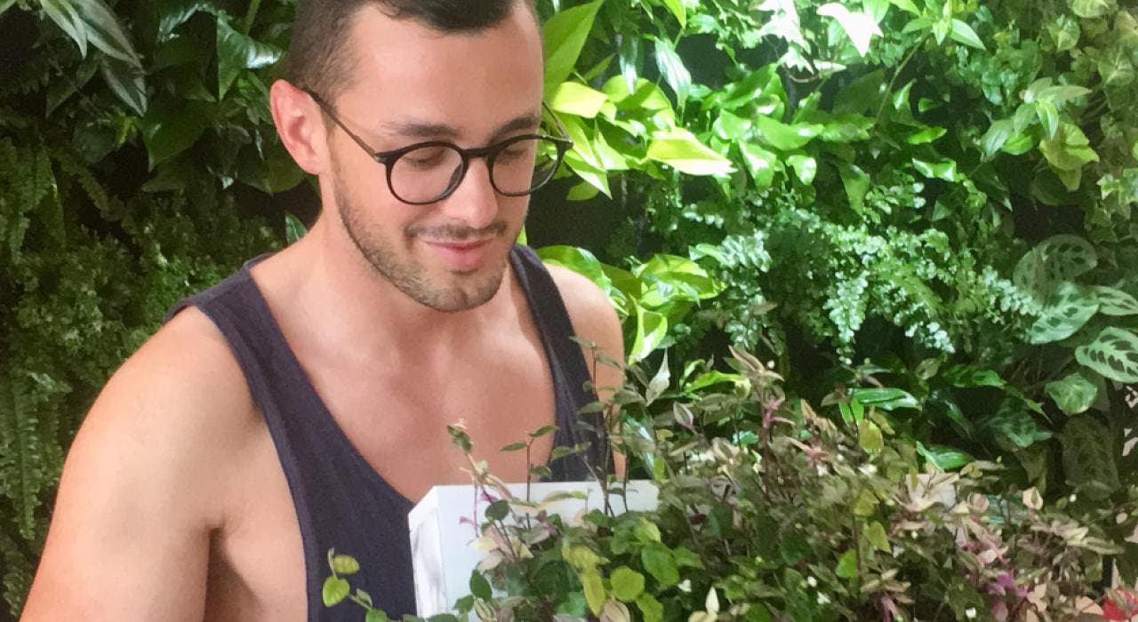Crea tu propio jardín vertical en Greenworks Madrid