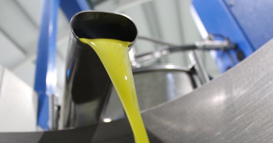 Visita guiada y cata de aceite en la fábrica de Aceites Molisur