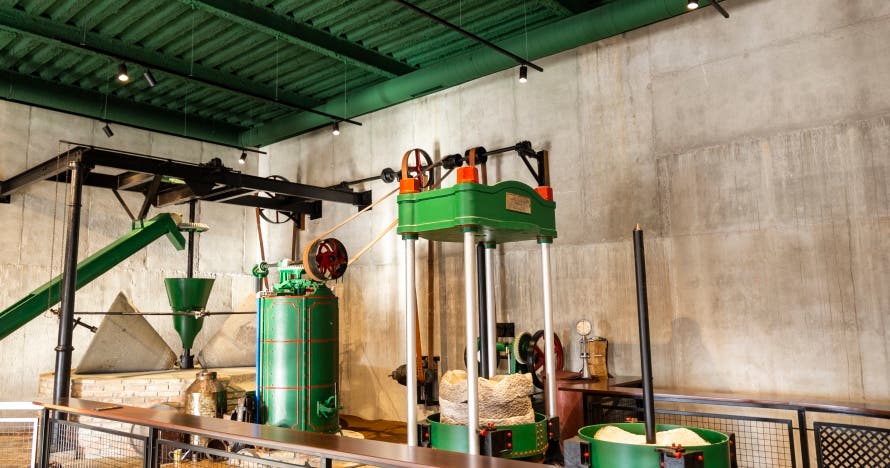 Visita guiada y cata de aceite en la fábrica de Aceites Molisur