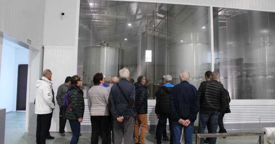 Visita guiada y cata de aceite en la fábrica de Aceites Molisur