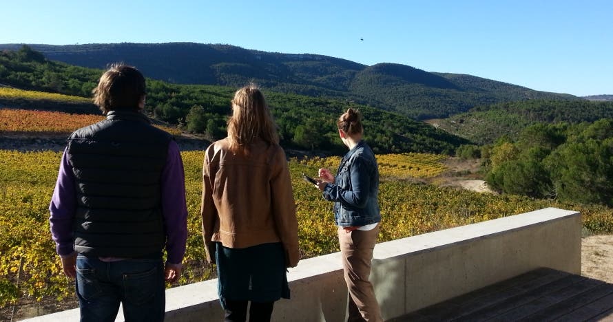 Experiencia única: cata de vinos en un paraíso vinícola