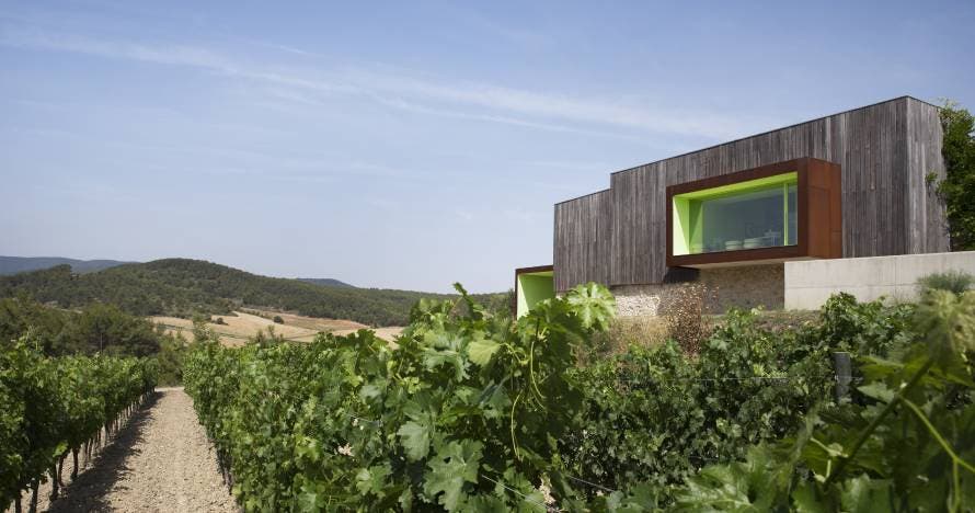 Experiencia única: cata de vinos en un paraíso vinícola