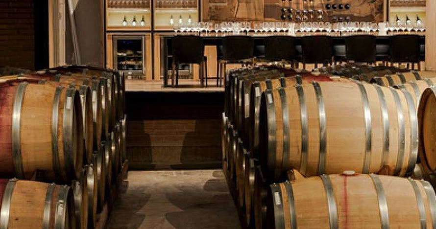 Wine tour, degustación y almuerzo con maridaje, Viña Casas del Bosque