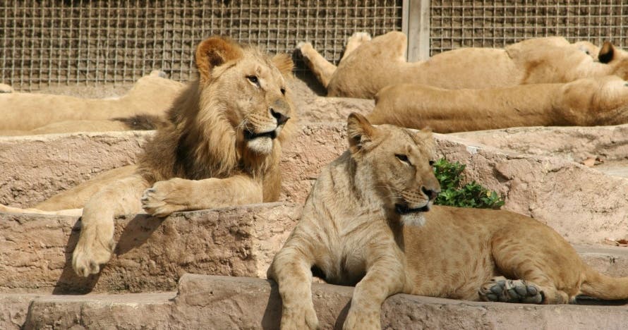 Zoo de Barcelona